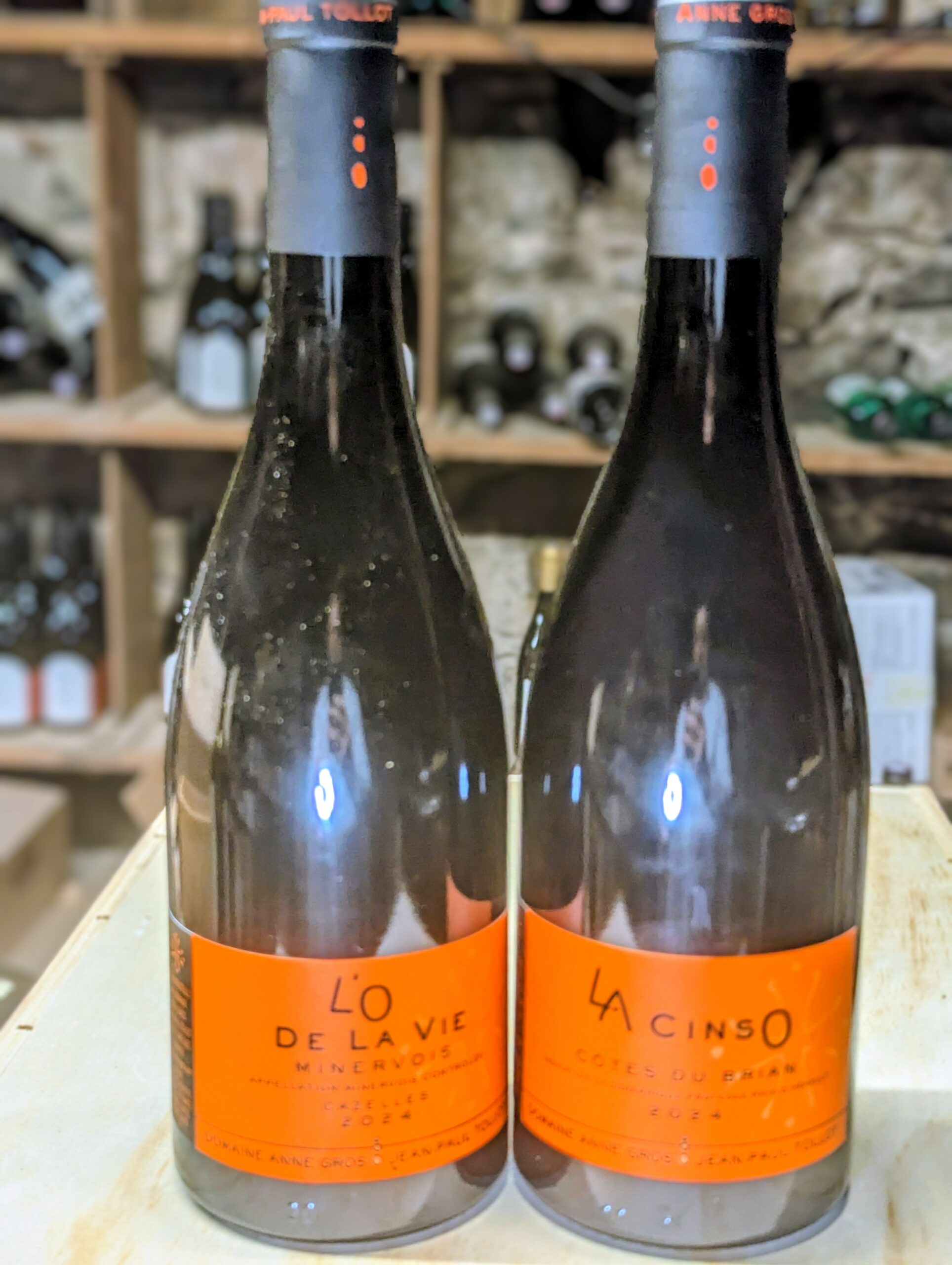 BOX 5  / ANNE GROS EN LANGUEDOC