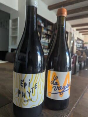 Epiphyte 2020 + La Vague 2020 - Sandrine Farrugia- Cotes du Marmandais